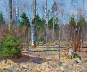 Spring Day at a Forest Edge